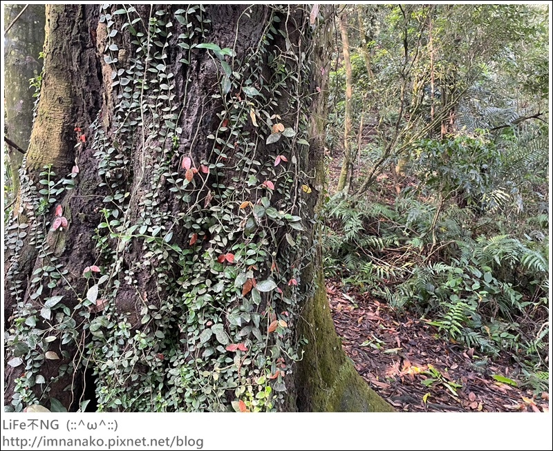 關刀山_230425_82.jpg 關刀山_230425_82.jpg