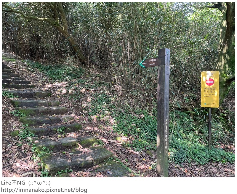 陽明山_230502_118.jpg 陽明山_230502_118.jpg