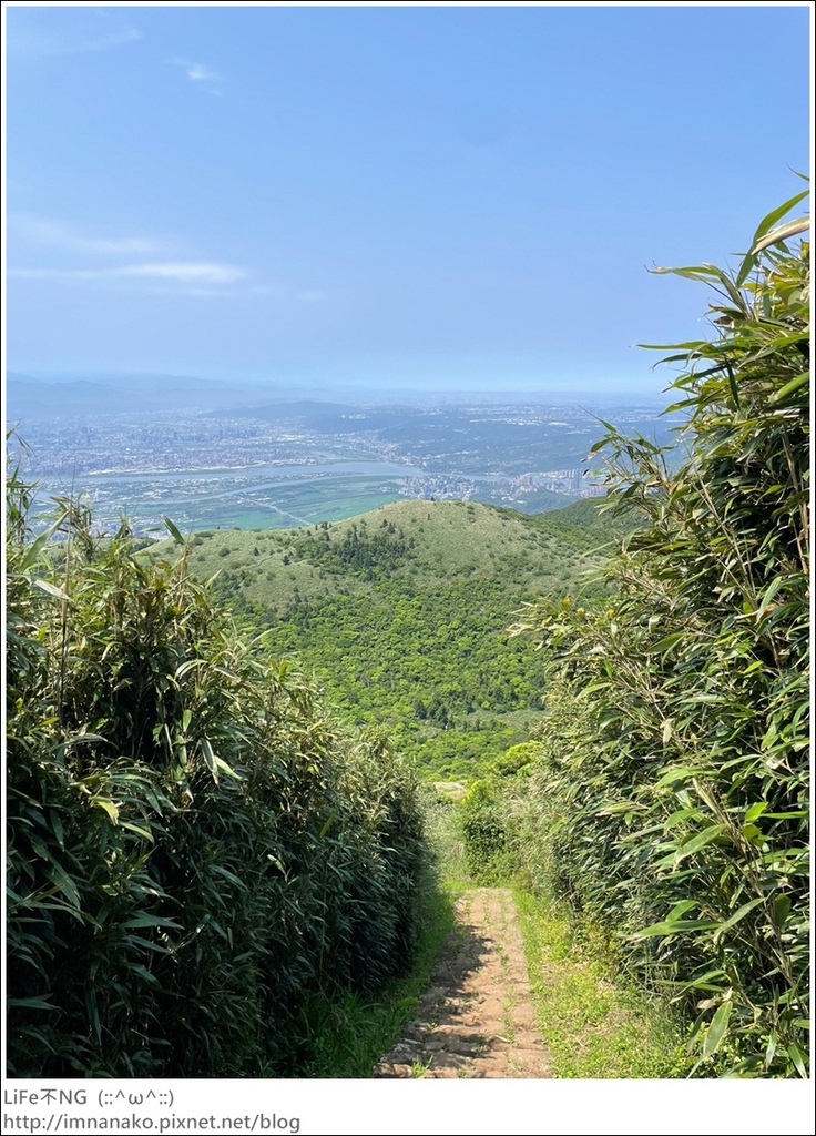 陽明山_230502_129.jpg 陽明山_230502_129.jpg