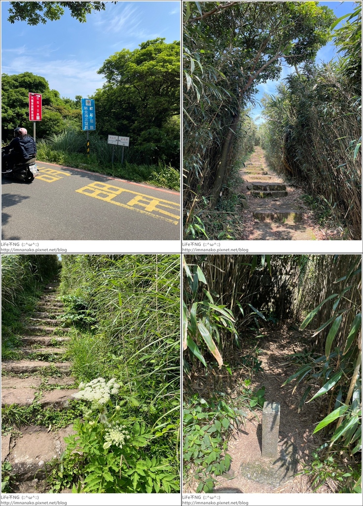 陽明山_230502_117-tile.jpg 陽明山_230502_117-tile.jpg