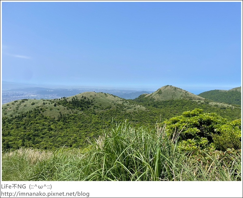 陽明山_230502_132.jpg 陽明山_230502_132.jpg