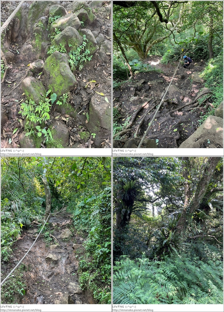 陽明山_230502_136-tile.jpg 陽明山_230502_136-tile.jpg