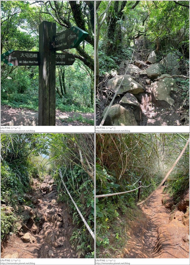 陽明山_230502_140-tile.jpg 陽明山_230502_140-tile.jpg
