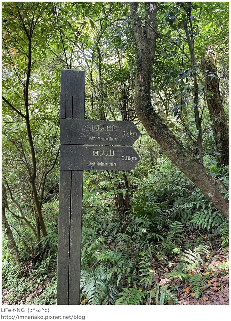 陽明山_230502_175.jpg 陽明山_230502_175.jpg