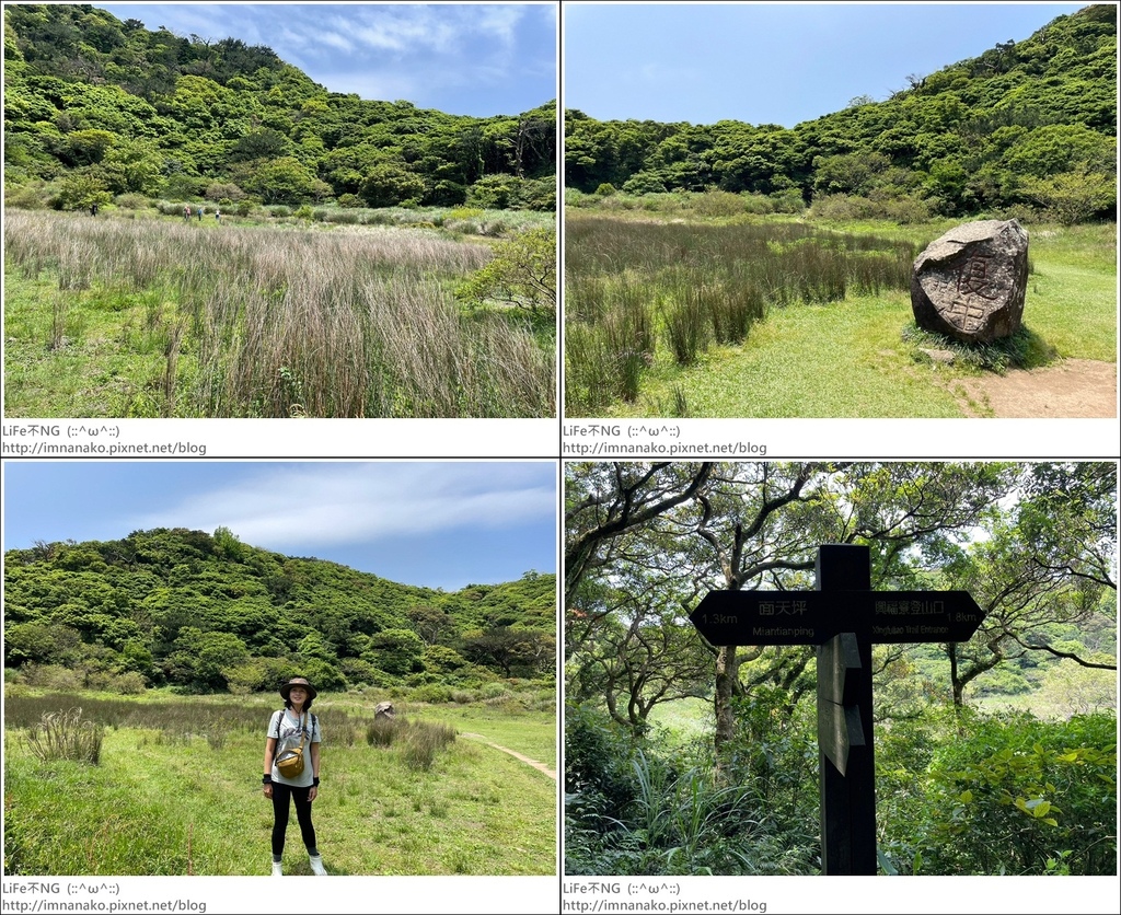 陽明山_230502_176-tile.jpg 陽明山_230502_176-tile.jpg