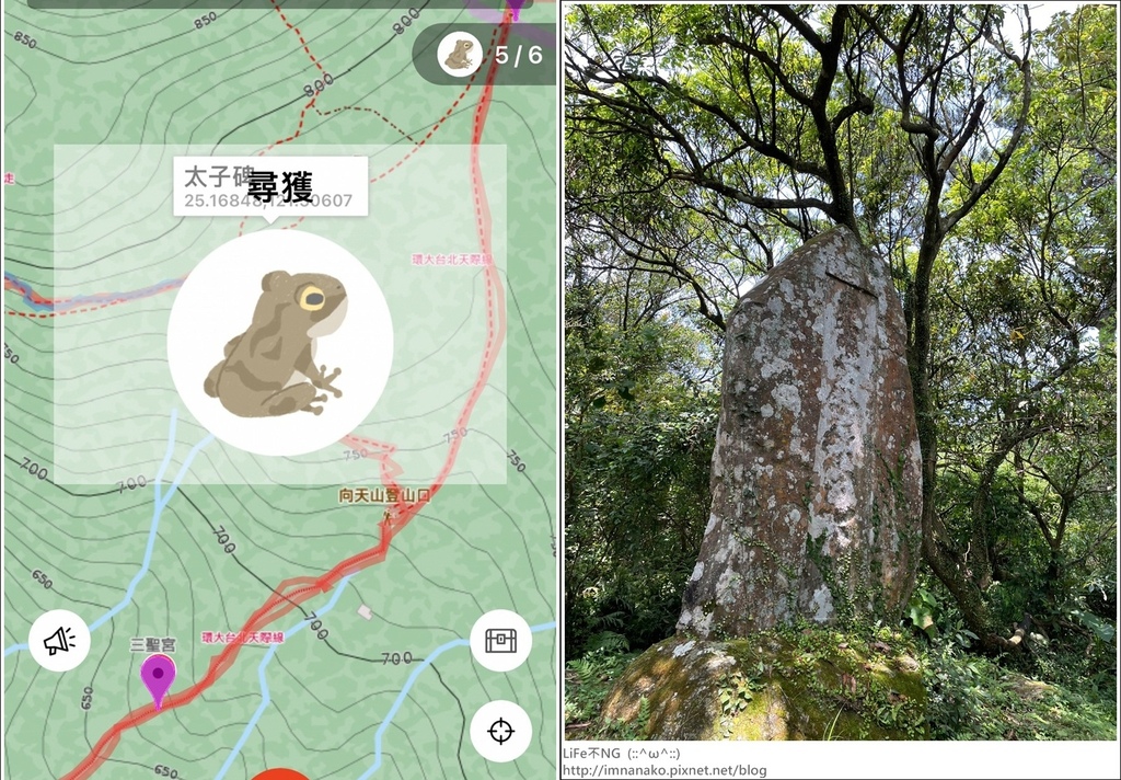 陽明山_230502_181-tile.jpg 陽明山_230502_181-tile.jpg