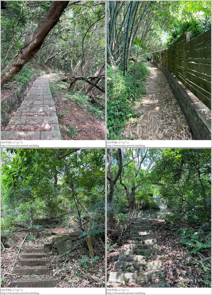 陽明山_230502_187-tile.jpg 陽明山_230502_187-tile.jpg