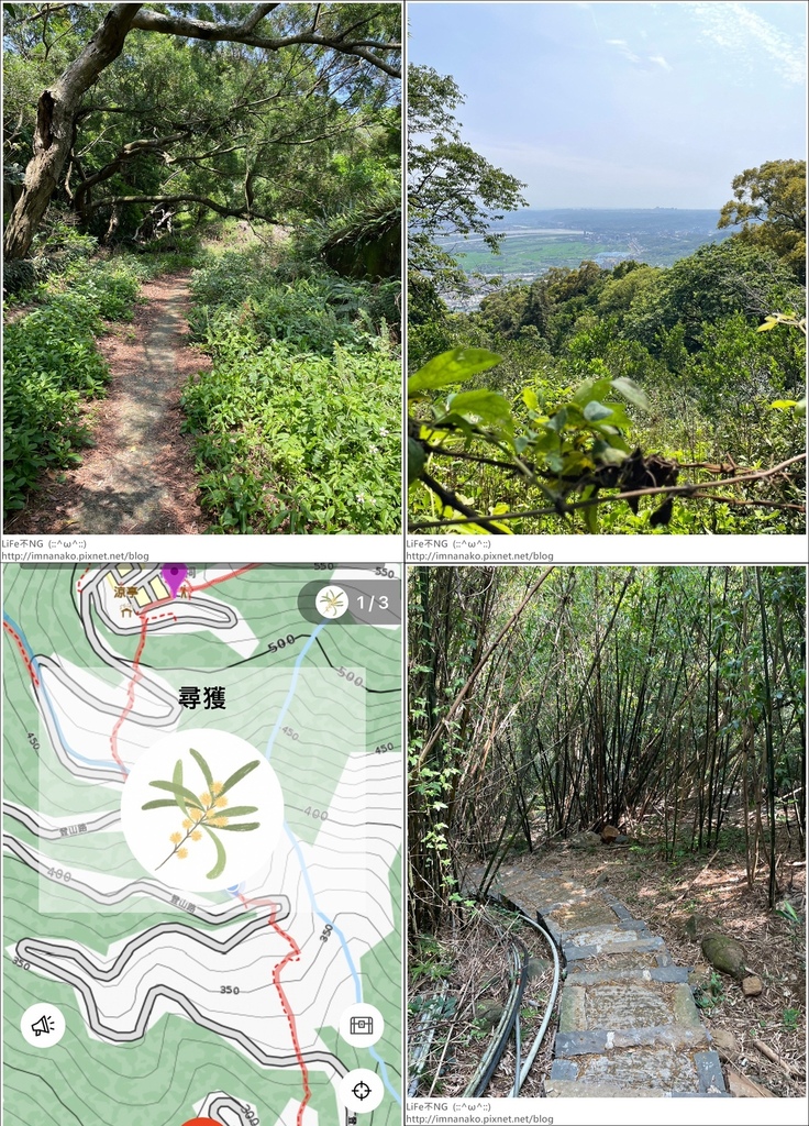 陽明山_230502_191-tile.jpg 陽明山_230502_191-tile.jpg