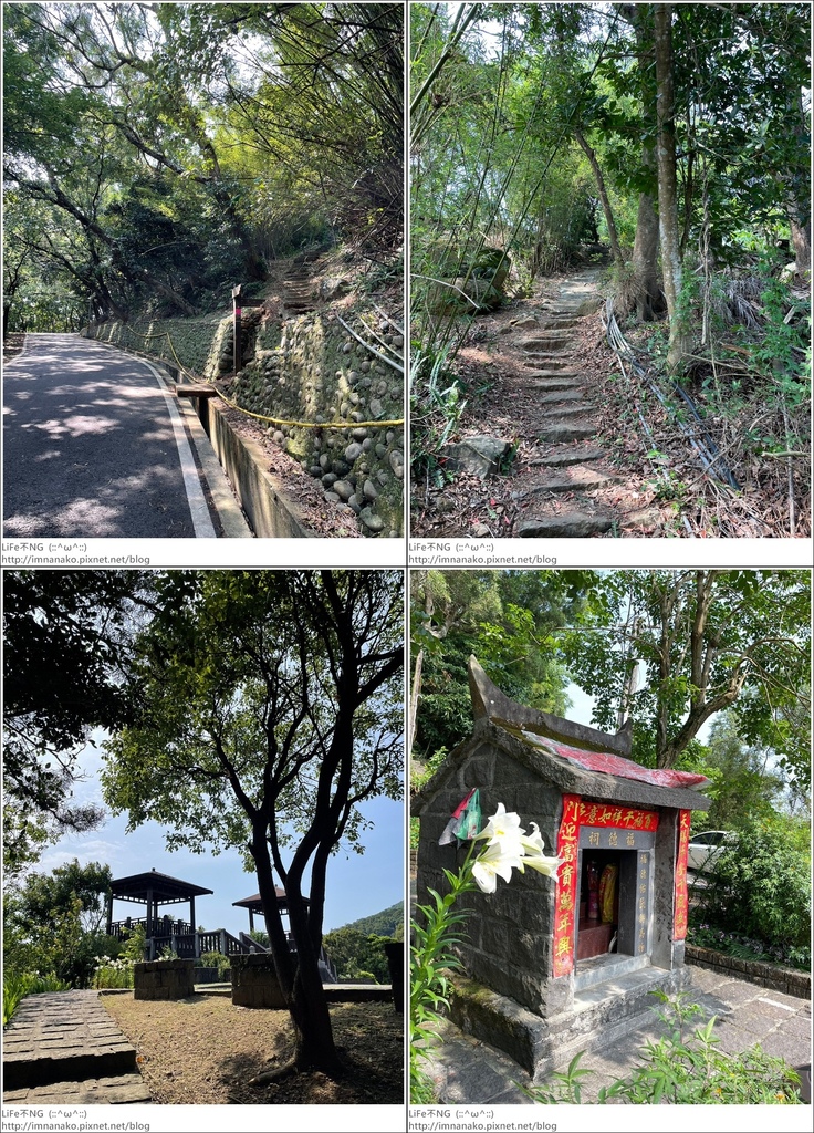 陽明山_230502_196-tile.jpg 陽明山_230502_196-tile.jpg