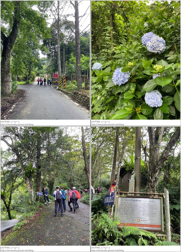 向天湖山_230612_75-tile.jpg 向天湖山_230612_75-tile.jpg