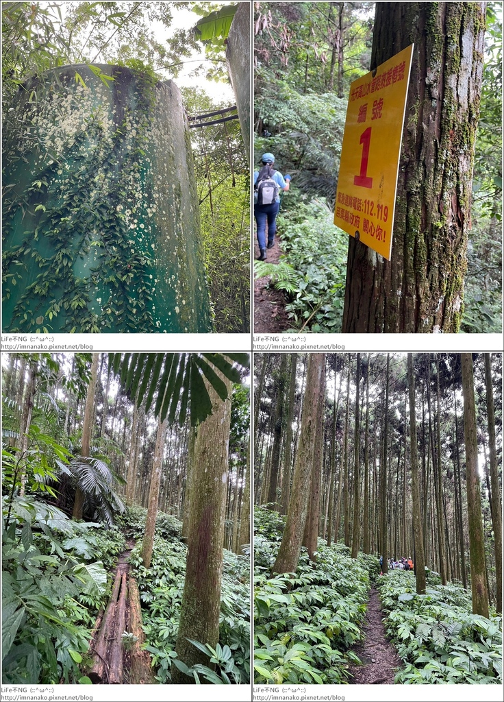 向天湖山_230612_81-tile.jpg 向天湖山_230612_81-tile.jpg