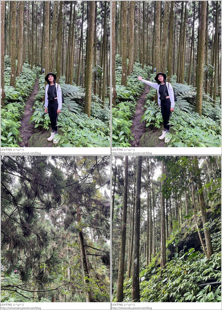 向天湖山_230612_85-tile.jpg 向天湖山_230612_85-tile.jpg