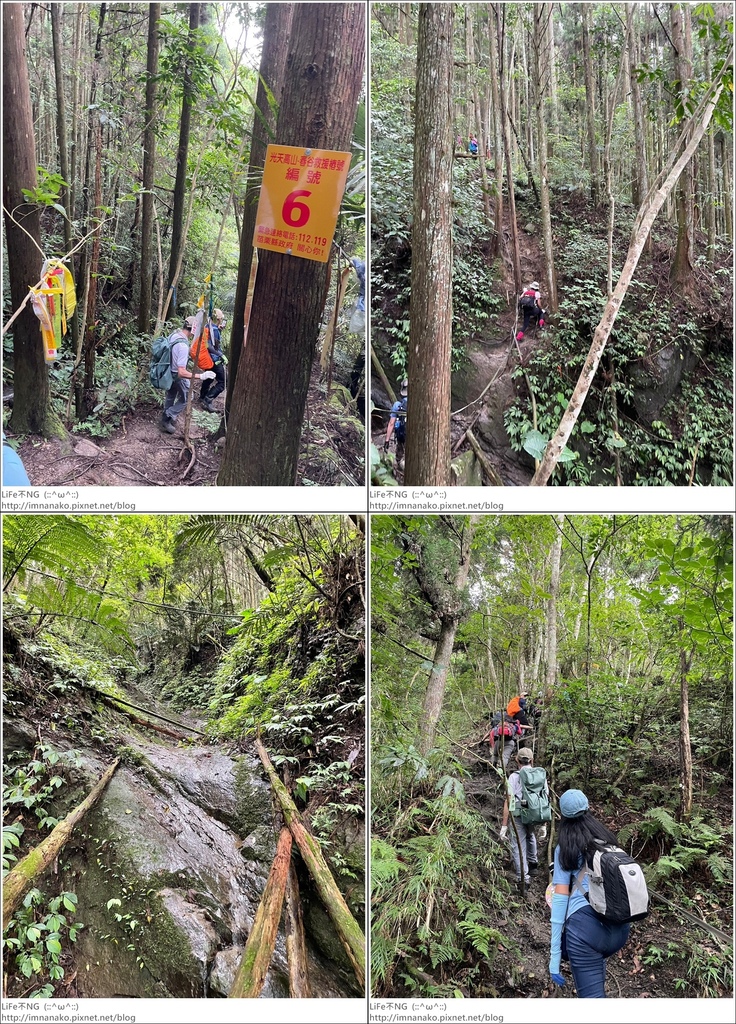 向天湖山_230612_98-tile.jpg 向天湖山_230612_98-tile.jpg