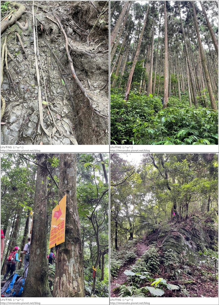 向天湖山_230612_103-tile.jpg 向天湖山_230612_103-tile.jpg