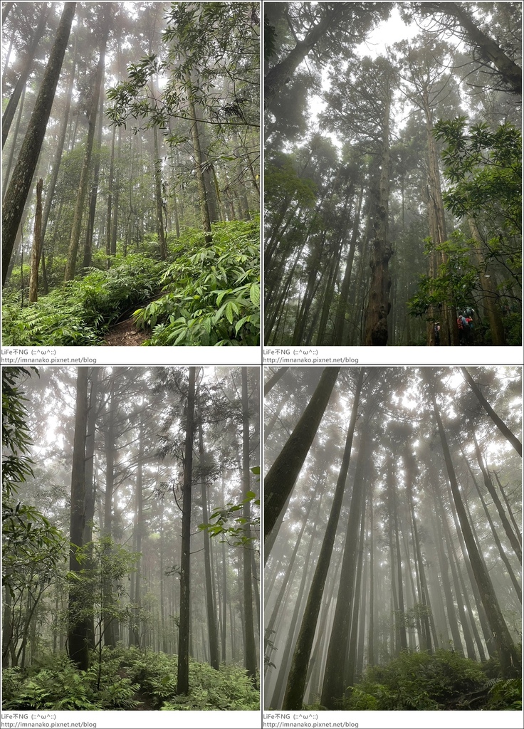 向天湖山_230612_112-tile.jpg 向天湖山_230612_112-tile.jpg