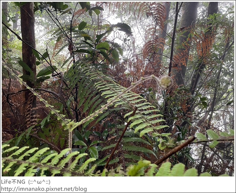 向天湖山_230612_138.jpg 向天湖山_230612_138.jpg