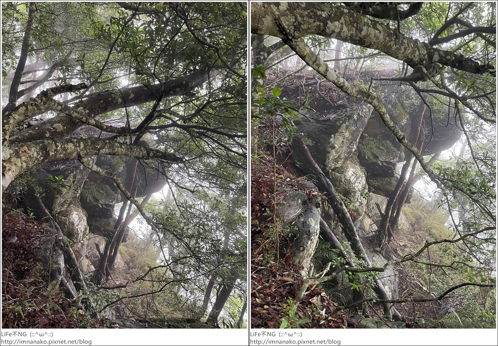 向天湖山_230612_136-tile.jpg 向天湖山_230612_136-tile.jpg