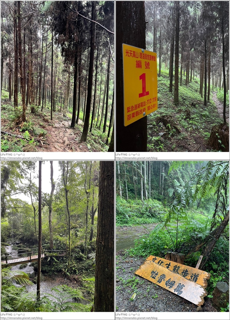 向天湖山_230612_146-tile.jpg 向天湖山_230612_146-tile.jpg