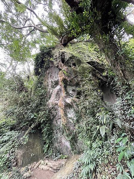 台南｜小百岳集起來｜崁頭山步道