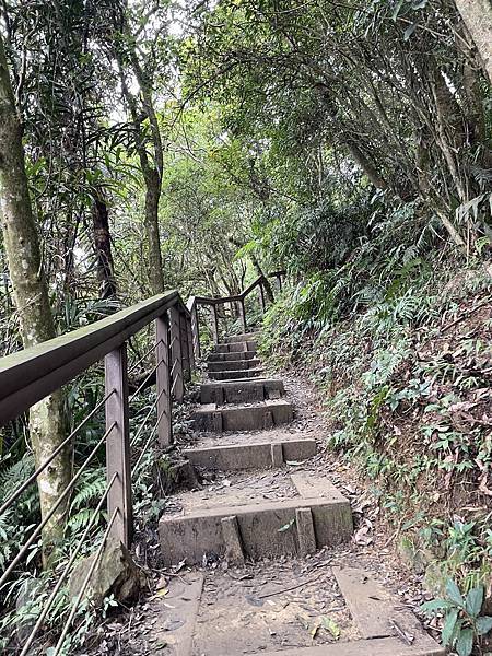 台南｜小百岳集起來｜關仔嶺大凍山步道