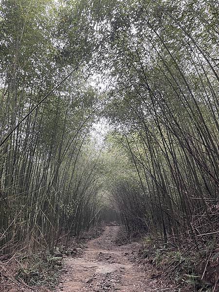 台南｜小百岳集起來｜關仔嶺大凍山步道