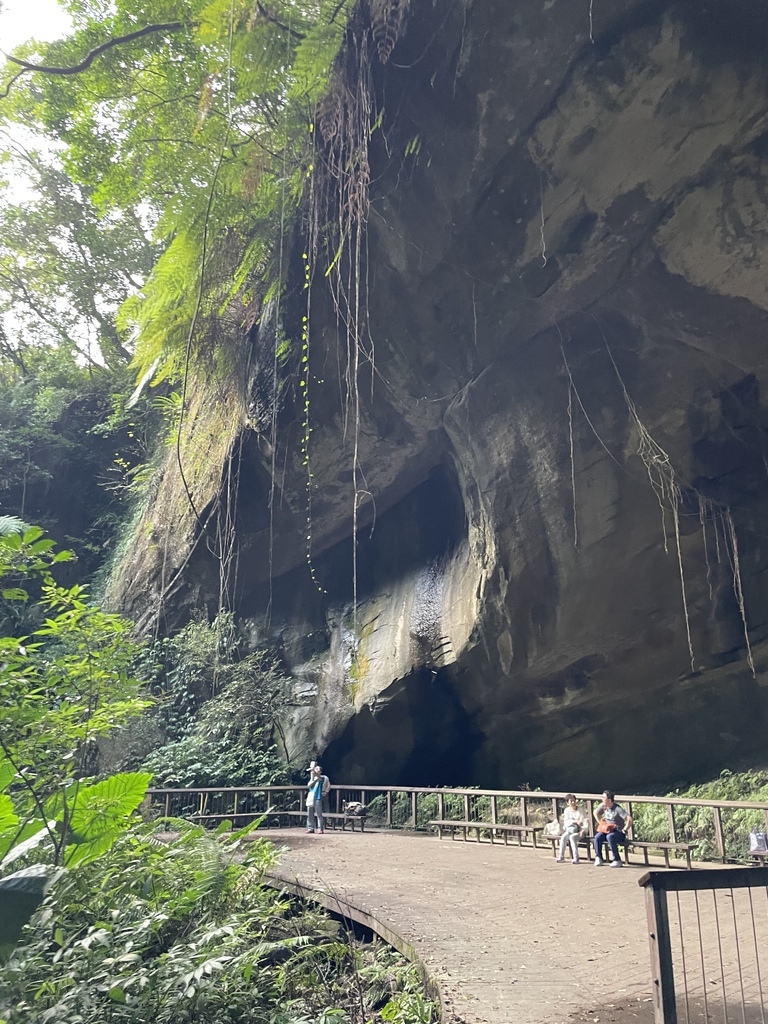 桃園復興｜搭公車去爬山｜三民金牌縱走O型（金平山-金平山南峰