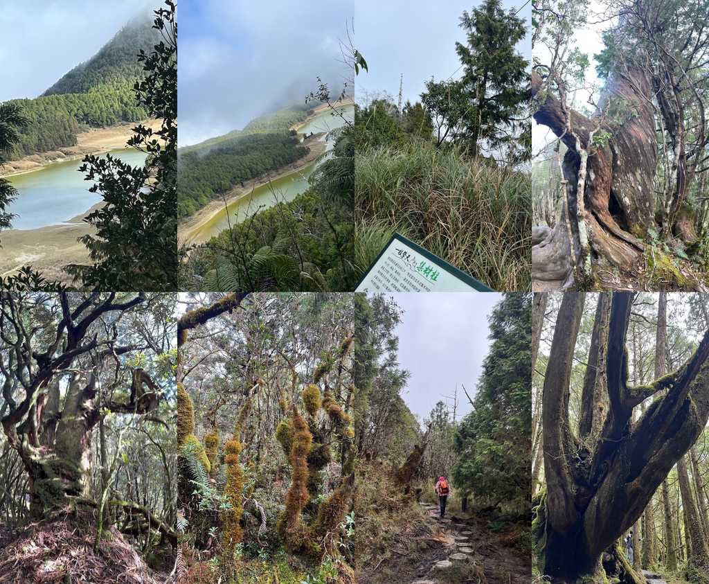 宜蘭大同｜中級山尋幽｜第2高小百岳三星山步道＆高山湖泊翠峰湖