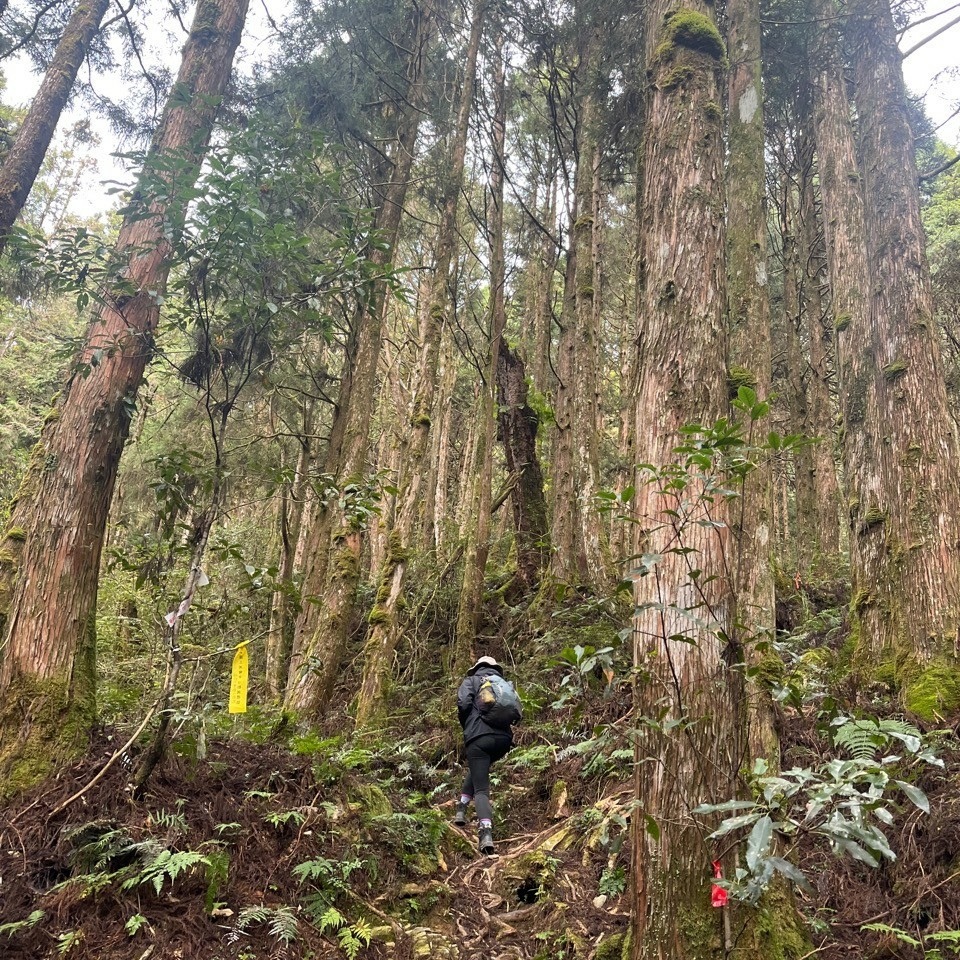 宜蘭大同｜中級山尋幽｜第2高小百岳三星山步道＆高山湖泊翠峰湖