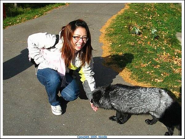 跟狗狗很像但是咬到超痛，天氣又冷就更痛了