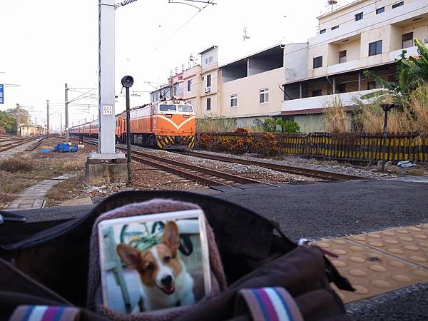 20140116-25田中