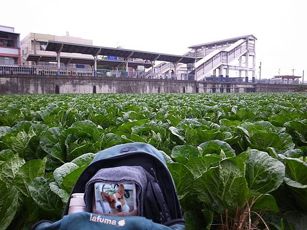 20140214-23永靖