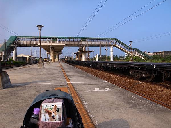 20140807-03白沙屯