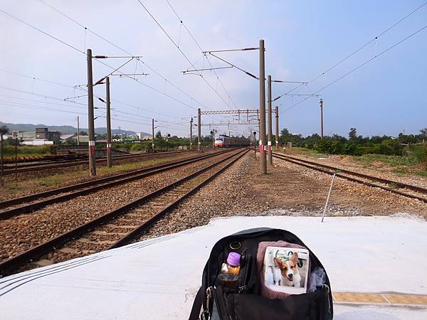 20140807-19白沙屯