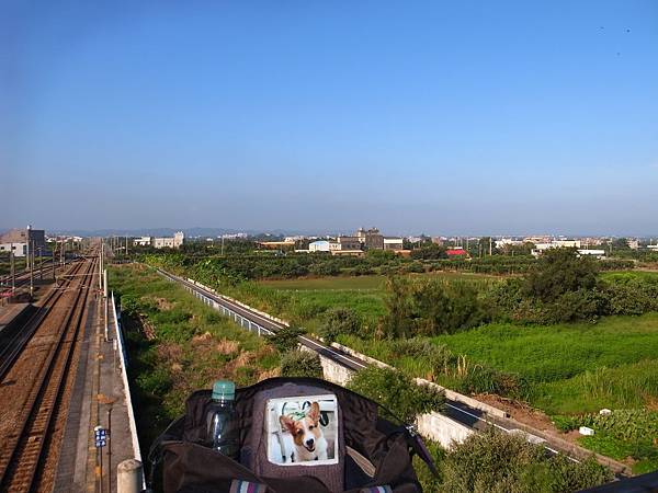 20140822-07大山