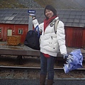 我在Myrdal