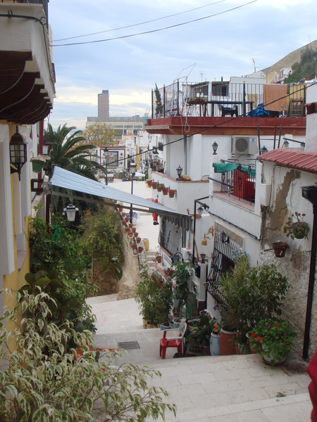 DSC07938.JPG