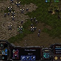 Brood Wars - Zealots and Dragoons make their way to take on a Zerg player(1).jpg