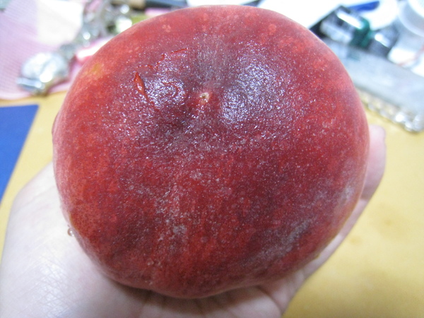 今年第一顆桃子