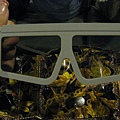 3D劇院的眼鏡