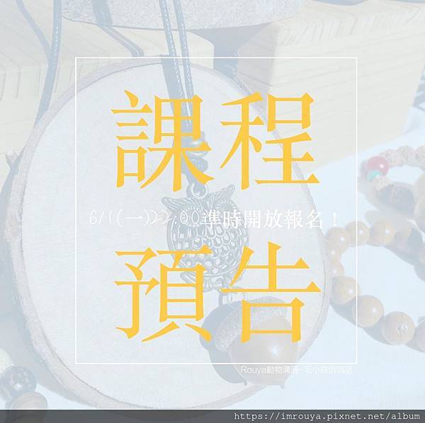 100624515_973993743013827_3326358845407625216_o