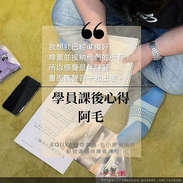 【Rouya動物溝通】課後心得｜阿毛｜我想我已經準備好，尊重