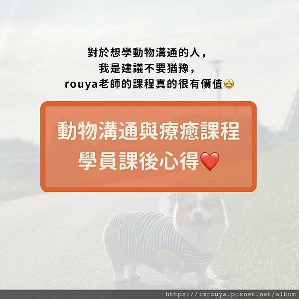 學員課後心得｜每一段的課程中，老師總會停下腳步詢問大家有沒有