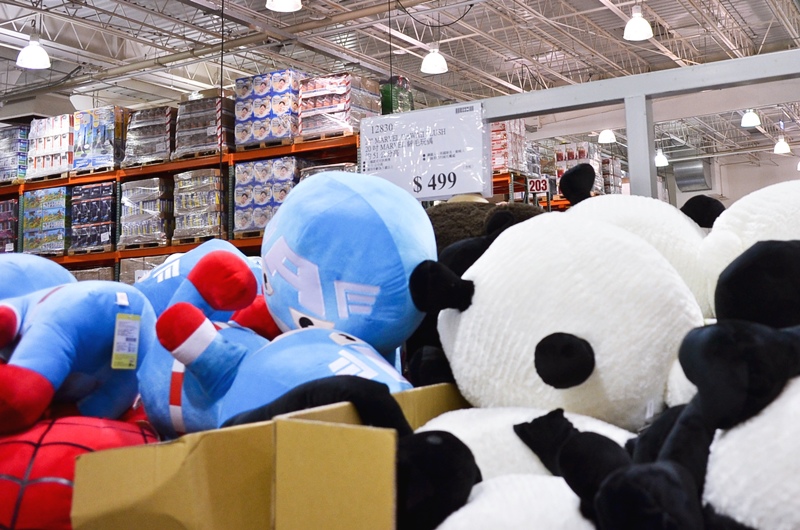 DSC_7306.jpg DSC_7306.jpg