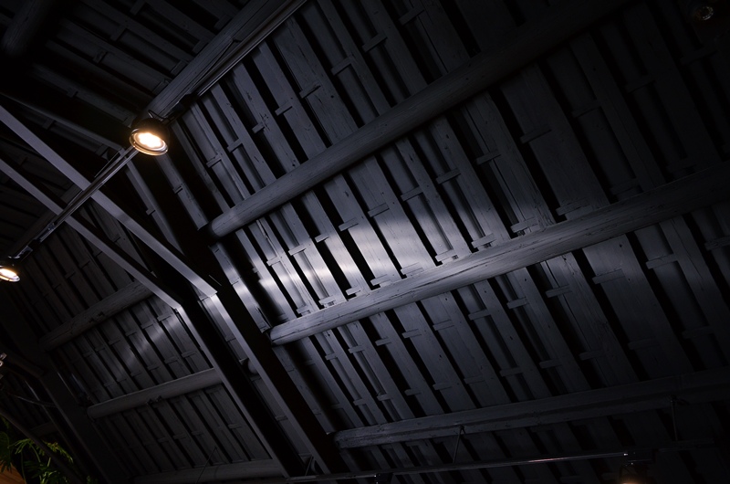 DSC_7931.jpg DSC_7931.jpg