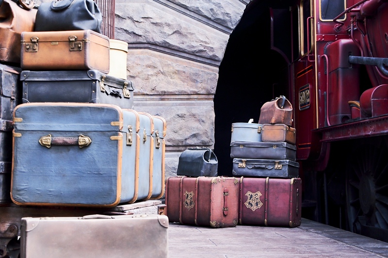 P4092156.jpg P4092156.jpg