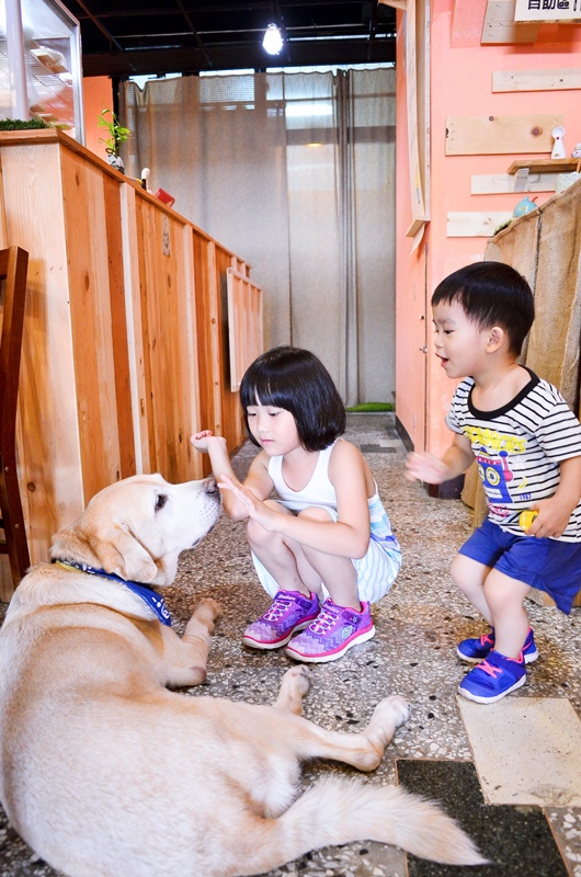 DSC_3194.jpg DSC_3194.jpg