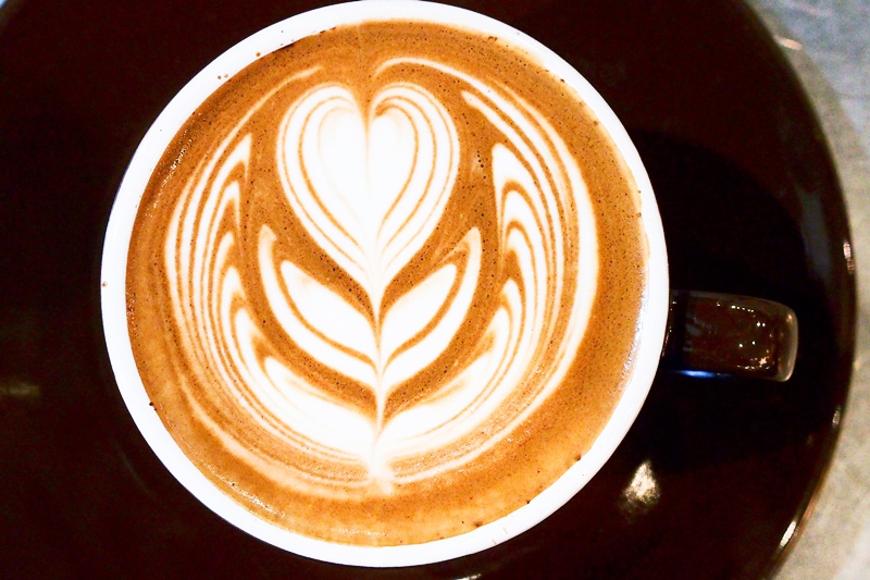 P4143691.jpg P4143691.jpg