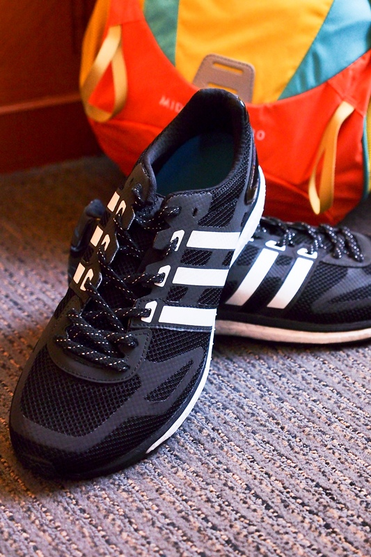 P4102551.jpg P4102551.jpg