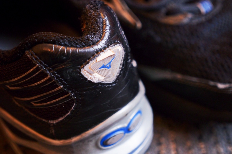 P4102559.jpg P4102559.jpg