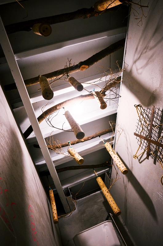 DSC_4297.jpg DSC_4297.jpg